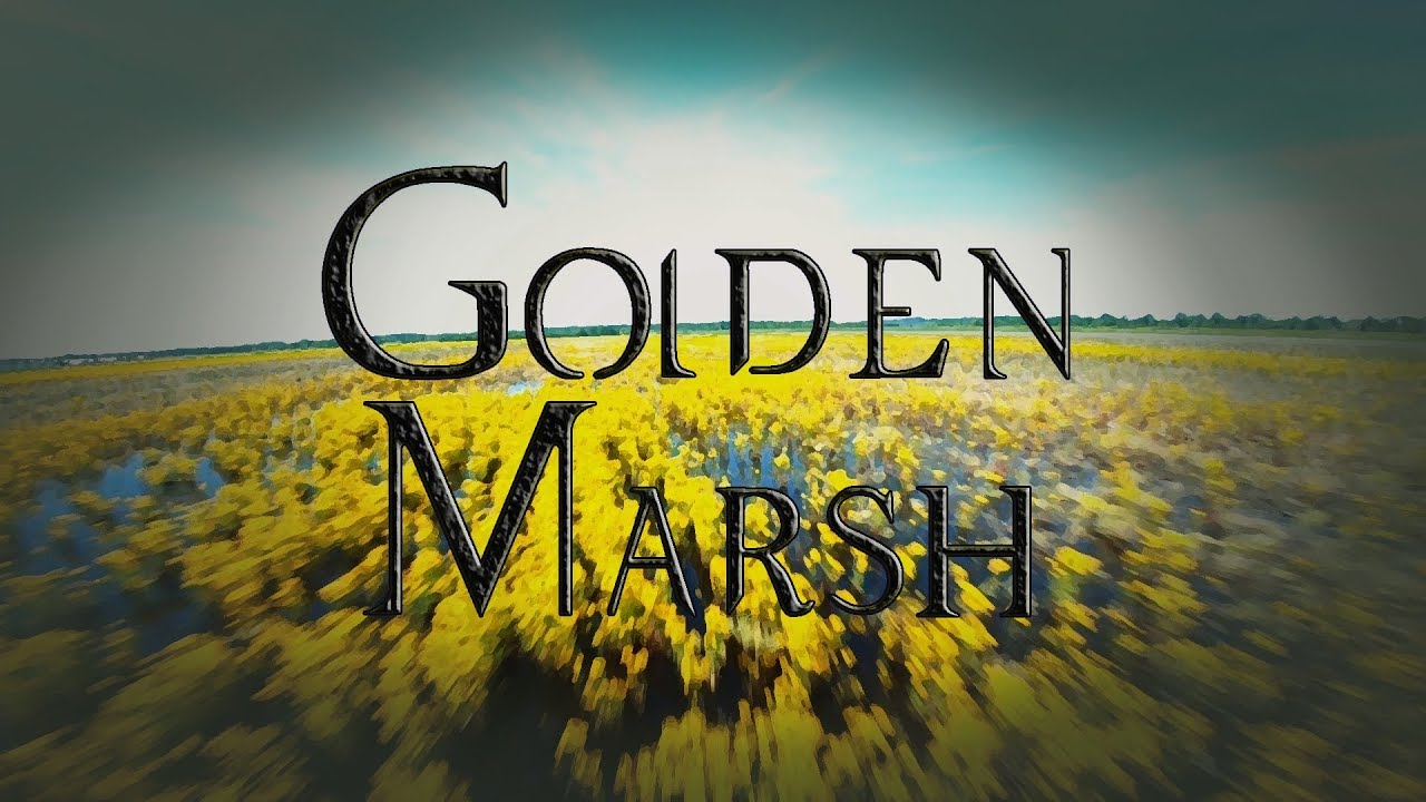 Golden Marsh