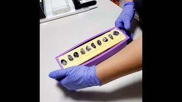 Unmolding Our Vegan Handmade Amethyst Soap in Frederick MD