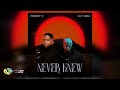 Freddy K and Djy Biza - Never Knew (Official Audio)