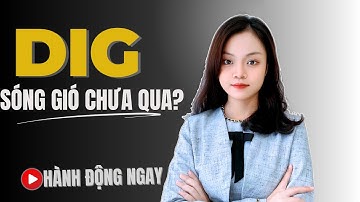 Phân Tích Cổ Phiếu DIG: Sóng Gió Ập Đến - Nên Đầu Tư Hay Rút Lui?