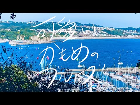 野佐怜奈「可愛いかもめのブルーズ」MV ウクレレ弾き語り