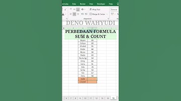 PERBEDAAN FORMULA SUM DAN COUNT PADA MS EXCEL #excel #microsoftoffice #exceltips #excelshortcuts