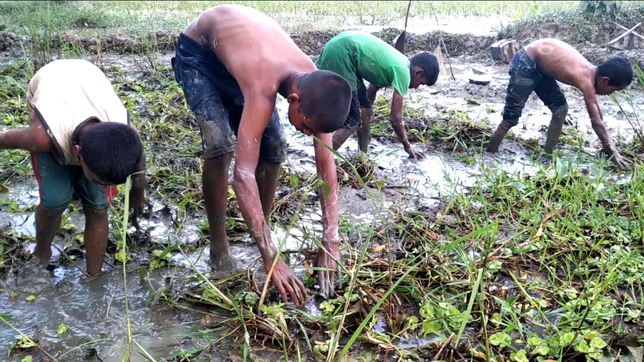 Wow Amazing Muddy water Fishing Fish Catching From Mud By Hand Fishing Best Hand Fishing Part-5