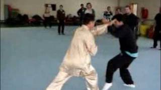 Shaolin Combat Application - Single Tiger Emerges from Cave - Sequence 3
