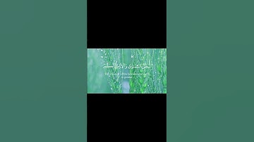 بعض الآيات من سورة غافر للشيخ ياسر الدوسري #shots #الشيخ ياسر الدوسري #اكسبلور