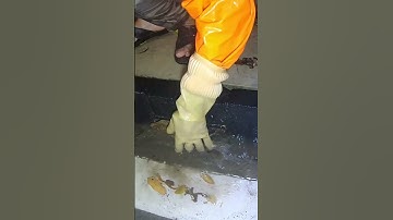 Remove Trash Clogged Drain #unclog #cloggeddrain #remove #satisfying #shorts