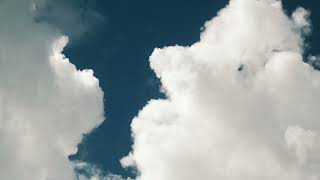 Clouds Timelapse Looking up under a tree - No Audio Filmic 4K Screensaver of Cinematic Blue Skies