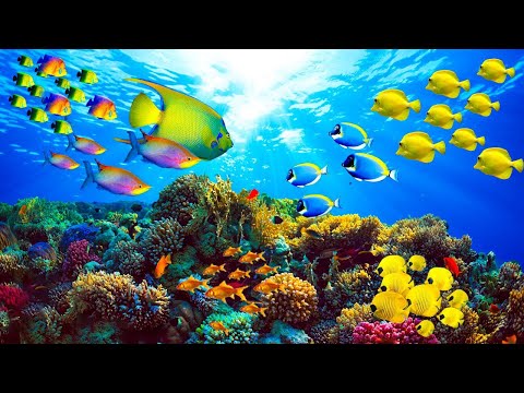 Relaxing Music For Stress Relief, Anxiety and Depressive States • Heal Mind, Body and Soul