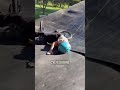 He Failed So Many Times… Then Nailed the Perfect BMX Backflip! 😱