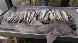 Whiting Fishing King George   How To Make Your Own Gps Marks Spots