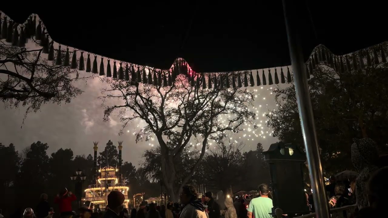 Happy New Year 2026 at Disneyland 