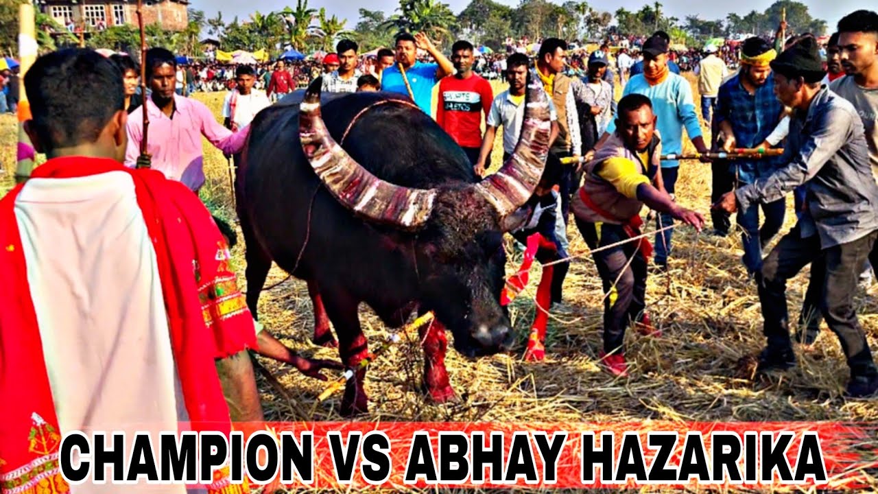 CHAMPION VS ABHAY 