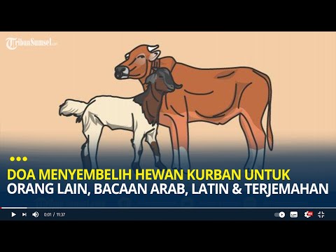 Doa Menyembelih Hewan Qurban sesuai Sunnah - Ustadz Firanda Andirja | Fiqih Qurban Idhul Adha