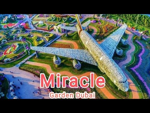 DUBAI MIRACLE GARDEN