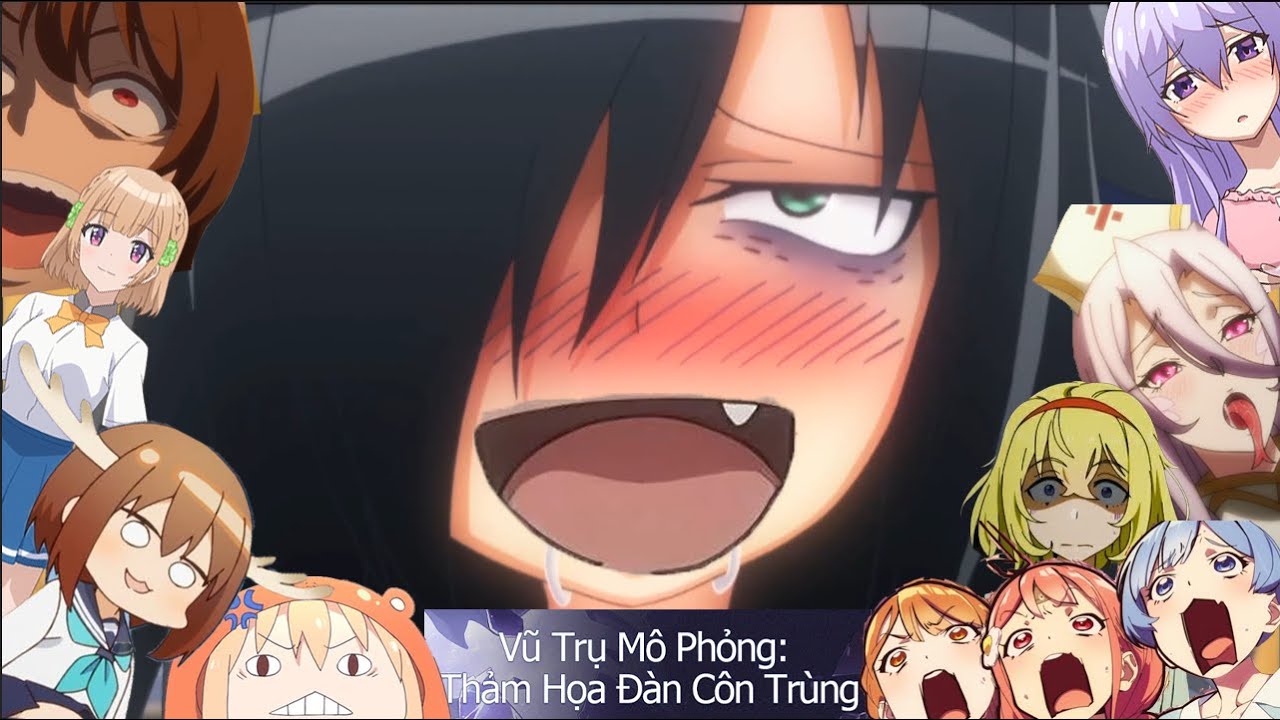 Mình Xem 10 Anime Hài Hước Thiếu Hài Hước Nhất Mọi Thời Đại