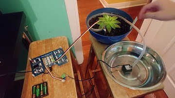 EECS 1011: Minor Project - Automatic Plant Watering  (MATLAB/Arduino) (by: Kiet Le)
