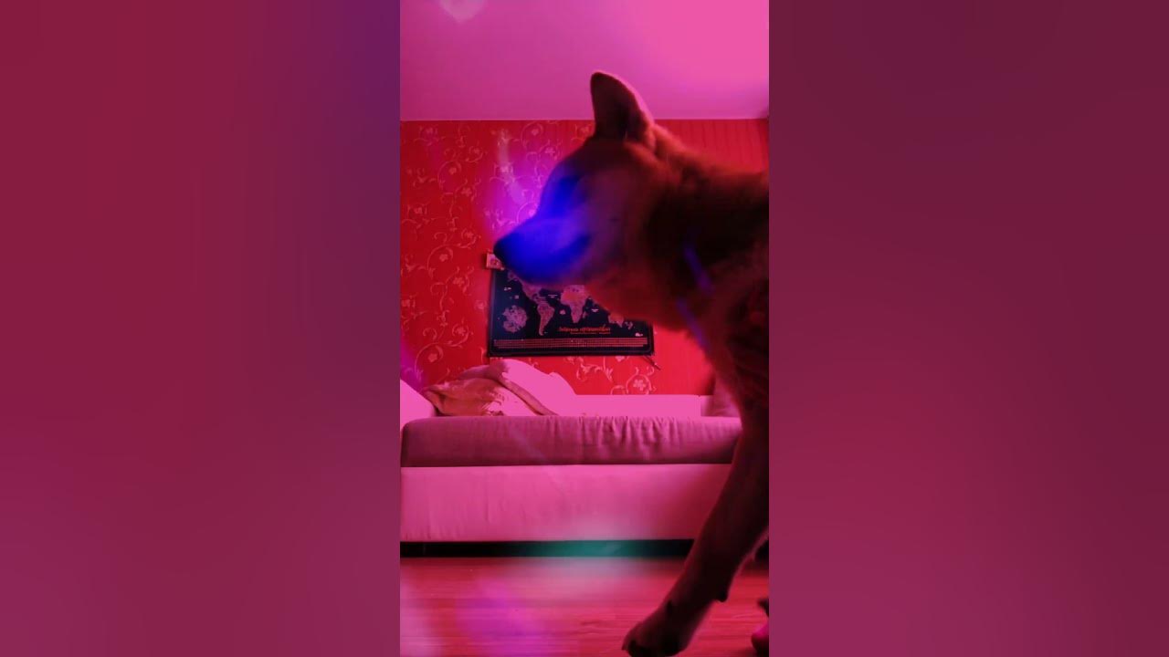 ВЕЧЕРИНКА 🥳 - YouTube