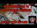 Intro to Rocky Horror Costume - RHPS Buffalo, The Francis Bacon Experiment