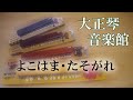 大正琴 よこはま・たそがれ 多重録音動画 102