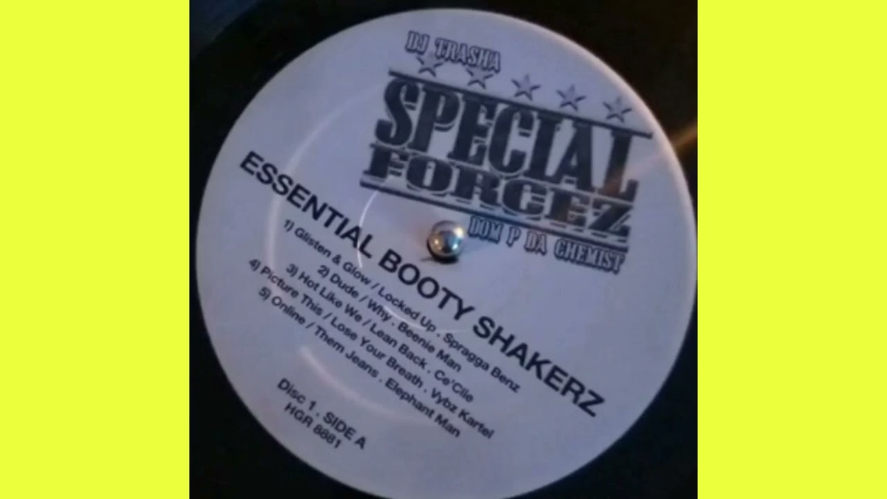 Vybz Kartel ~ Tek Buddy Gyal / Mobb Deep Remix ~ [Special Forcez / Dj Trasha & Dom P Da Chemist]