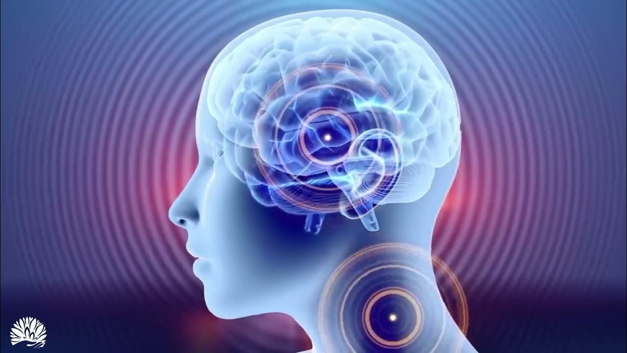 Музыка для памяти мозга слушать. Видео Гц восстановление нервной системы.
