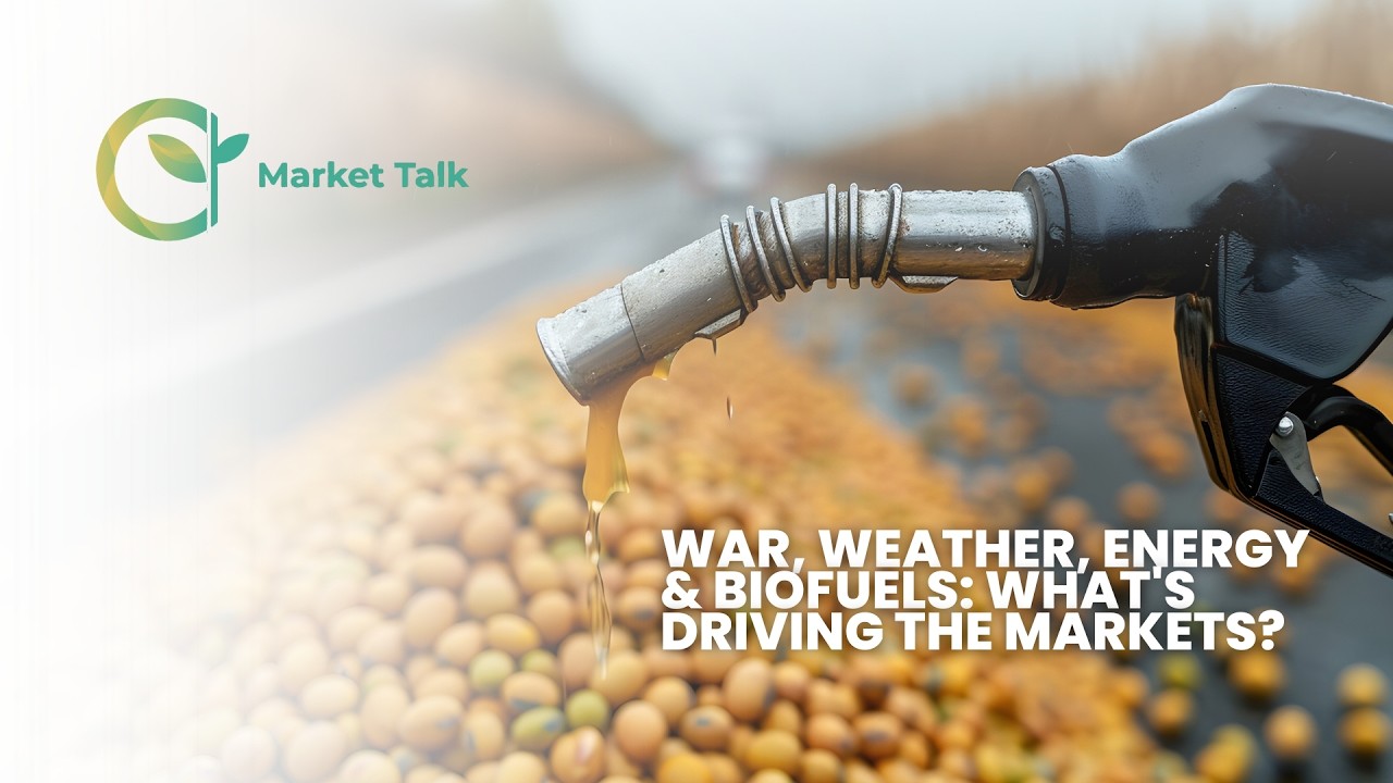 War, Weather, Energy & Biofuels: What's Driving the Markets?