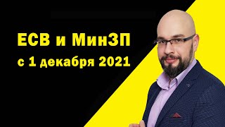 Минимальная заработная плата и ЕСВ с 1 декабря 2021.