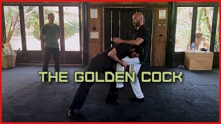 No Takedowns With The Golden Cock-Stopper!
Another anti Gracie, anti MMA, anti wrestling, anti crappling, anti logic move and theres no denying it - these moves, including the Golden Cock will stop any takedown eager crappler dead in their tracks. Tai chi FTW! And yeah, you will need to wait for the Golden Cock to appear.. :-) #AntiTakedown #TaiCheating #MartialArtsHumor No Takedowns With The Golden Cock-Stopper!