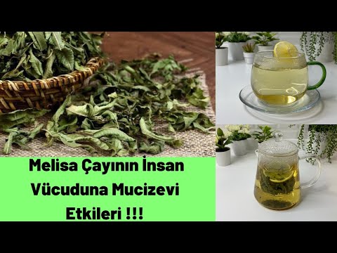 Գաղտնիքը, որը ոչ ոք չգիտի! Melissa Miracle! Melissa Tea և դրա օգուտները! 🍃 🍀