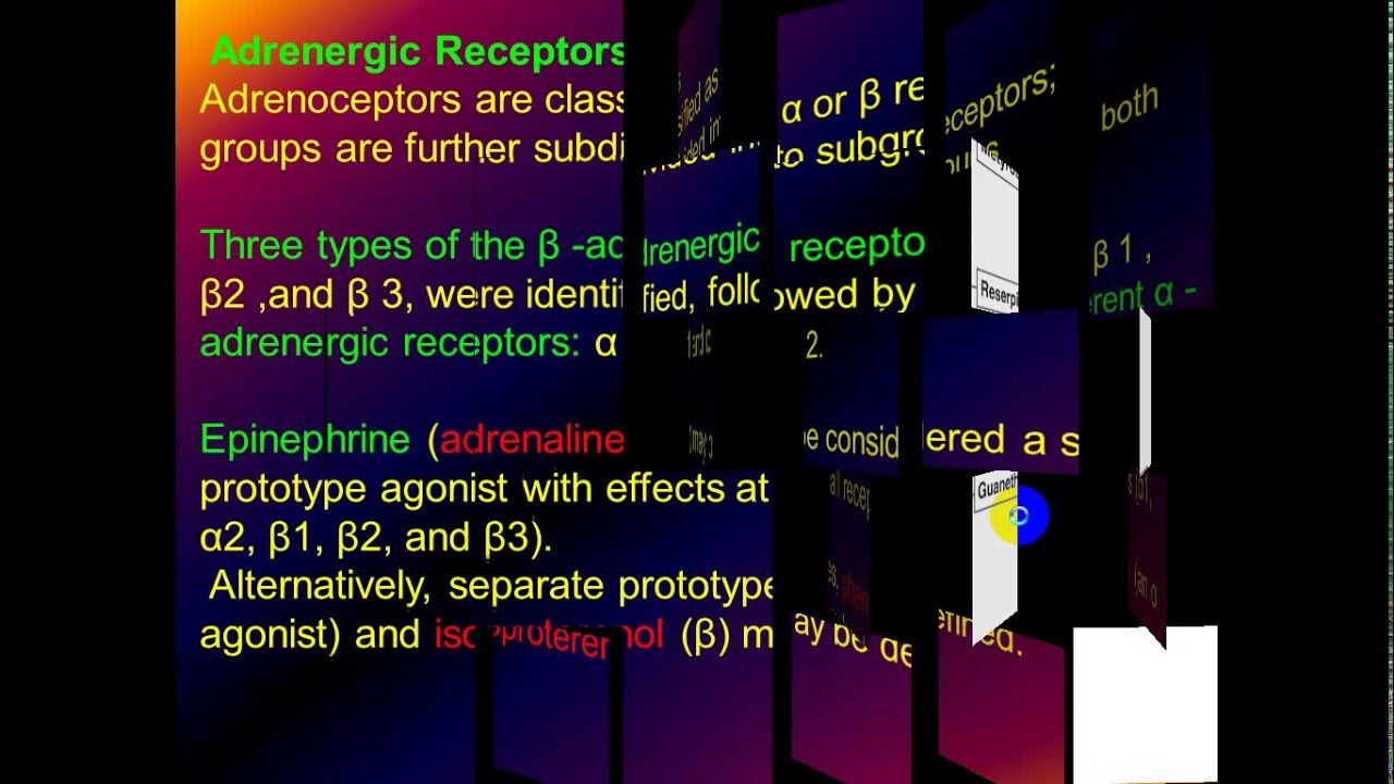 Lec 3 Pharmacology - YouTube