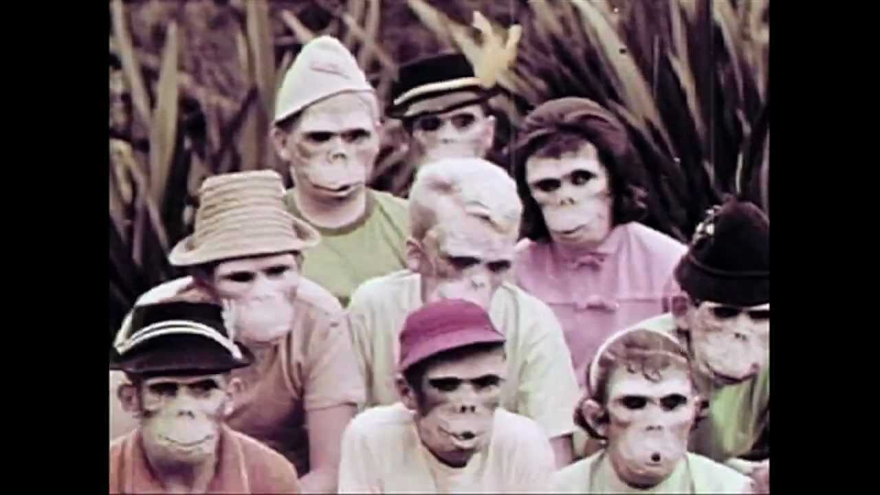 Zebra Pulse - "Basaraba"