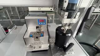 Screw driver automation, auto screw tightening for tea port, screw locking robot China manufacturer