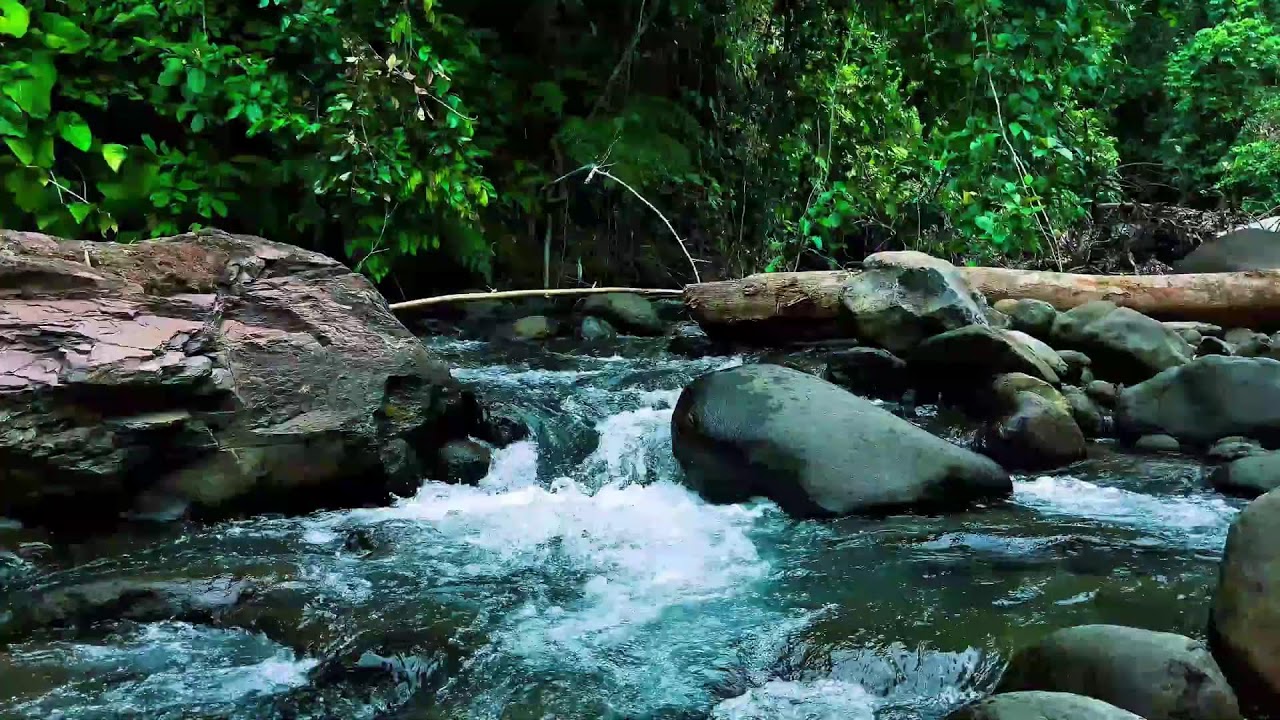 Rushing Jungle River Over Stones – Nature Sounds for Deep Sleep, Focus & Stress Relief