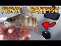 FISHING PERCH AND ROACH WITH DEEPER SONAR | Team Galant (English Subtitles)