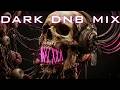 Dark Drum and Bass Session 2026 | Dark DNB Mix 100