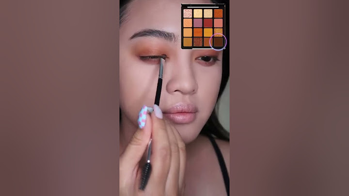 Bảng mắt novo vivid color review năm 2024