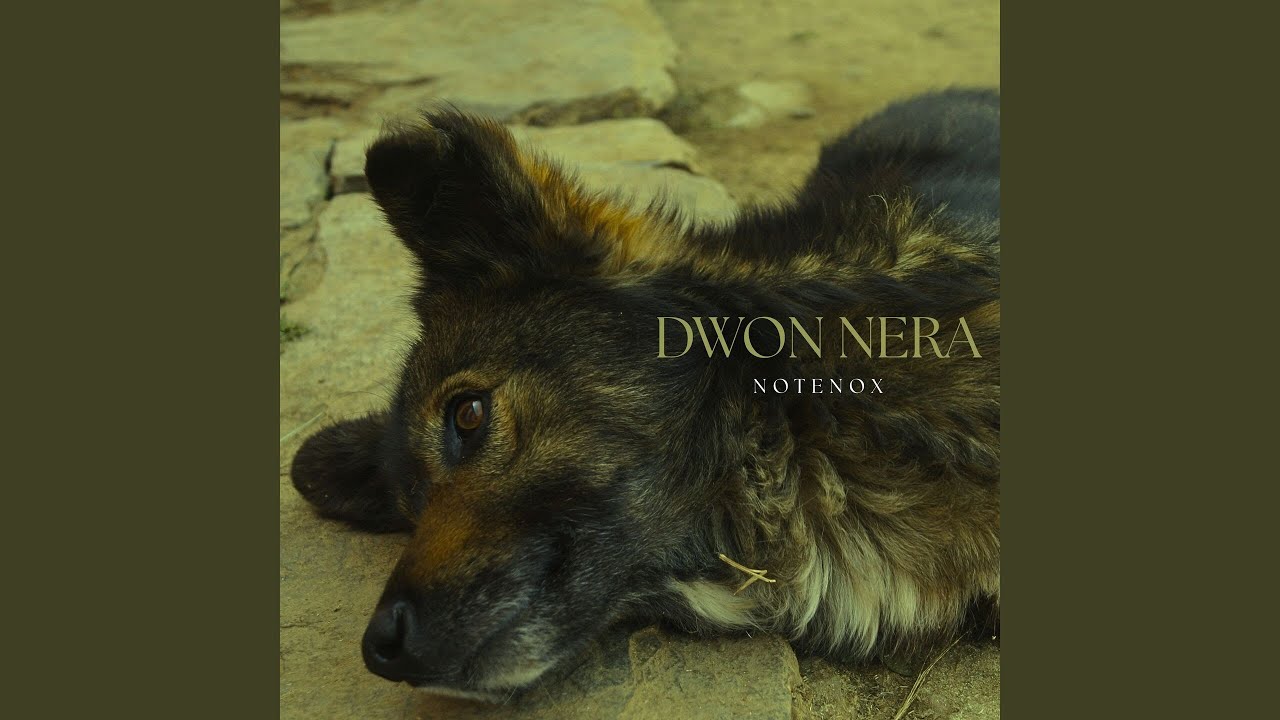 Guarda Talk su YouTube Guarda Talk su YouTube