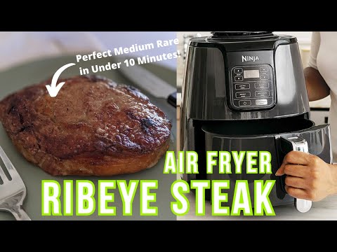 carnivore-diet-recipes-|-air-fried-steak-(60-second-recipe-video!)