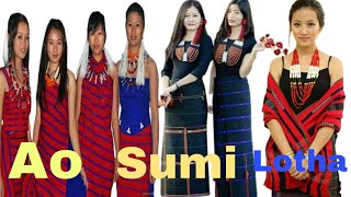 Which naga tribe has the highest population in nagaland !! | nagamese | Nagamese Facts