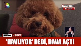 Havliyor Dedi Dava Acti Youtube Havliyor Dedi Dava Acti Youtube