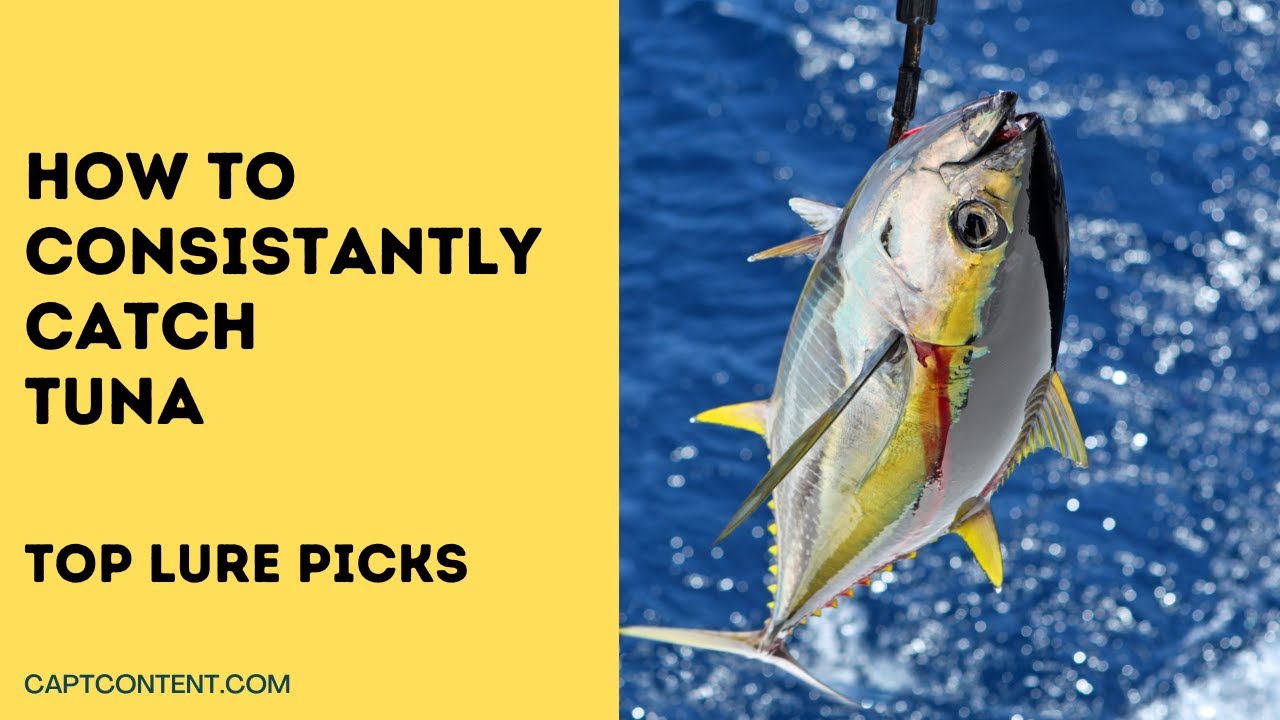 Best Lures For Successful Tuna Fishing - Captain Content