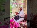 يسعد صباحك الغريبي مجرور الطائف
