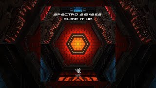 Spectro Senses - Pump It Up (Original Mix)