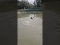 Fishing Ekmotahathighumechala 
