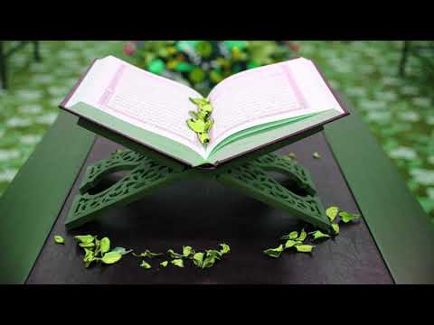 022 سورة الحج أبو بكر الشاطري بدون اعلانات