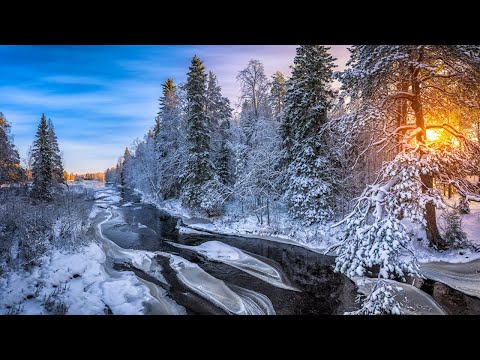 صور وخلفيات الشتاء بأعلي جودة