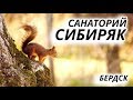 Санаторий Сибиряк Бердск - Блог о том, куда пойти отдохнуть
