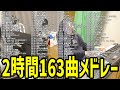 2時間ぶっ通しでピアノを弾き続ける漢【2024/01/29】