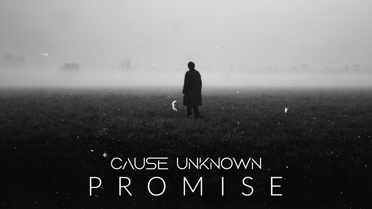 Unknown cause. Promise Reprise. Vasaria Project Promise Reprise.