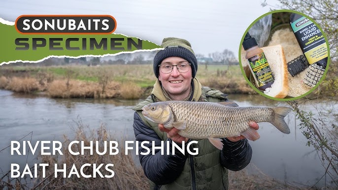 Unleash the power of small cranks, Chub Fishing in Small Rivers